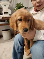 processed/6f37667d-1f87-4ab4-a6de-f3781313825a/listing/01c45c4d-3eec-4fad-bfe5-b1017da10f5e/117d9e68-d7e7-4a6e-9553-153a826f559b