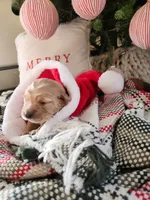 processed/6f37667d-1f87-4ab4-a6de-f3781313825a/listing/01c45c4d-3eec-4fad-bfe5-b1017da10f5e/52880ba7-c1d0-47aa-a3c4-ce1f1a1285a1