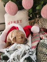 processed/6f37667d-1f87-4ab4-a6de-f3781313825a/listing/01c45c4d-3eec-4fad-bfe5-b1017da10f5e/54744551-713c-4433-884f-56cf2f2b6287