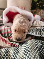 processed/6f37667d-1f87-4ab4-a6de-f3781313825a/listing/01c45c4d-3eec-4fad-bfe5-b1017da10f5e/68661e3c-99ad-44c6-aec1-f622509c34a3