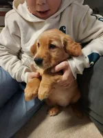 processed/6f37667d-1f87-4ab4-a6de-f3781313825a/listing/01c45c4d-3eec-4fad-bfe5-b1017da10f5e/e26186c8-56c1-40e0-b4da-ab89ab25f139