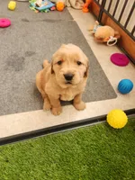 processed/6f37667d-1f87-4ab4-a6de-f3781313825a/listing/01c45c4d-3eec-4fad-bfe5-b1017da10f5e/e6299115-8685-4d69-b8c5-bf97d679dc87