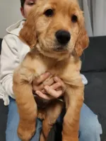 processed/6f37667d-1f87-4ab4-a6de-f3781313825a/listing/01c45c4d-3eec-4fad-bfe5-b1017da10f5e/f9b2080a-82ce-4162-8a02-b84f9649bcde