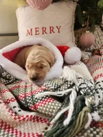 processed/6f37667d-1f87-4ab4-a6de-f3781313825a/listing/4f09fbac-c1fe-474d-b717-6138843da29f/04de094a-a319-46f5-95c9-e9edecdfb16b