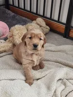 processed/6f37667d-1f87-4ab4-a6de-f3781313825a/listing/4f09fbac-c1fe-474d-b717-6138843da29f/1bbefcc4-6128-4ddd-922a-27622b77a6dc