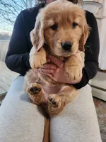 processed/6f37667d-1f87-4ab4-a6de-f3781313825a/listing/4f09fbac-c1fe-474d-b717-6138843da29f/3dc8c2a4-caa3-494a-bab1-c400078ceb3c