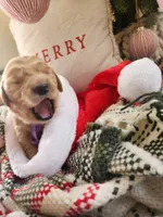 processed/6f37667d-1f87-4ab4-a6de-f3781313825a/listing/4f09fbac-c1fe-474d-b717-6138843da29f/4171f722-f554-4d52-85fd-a7021ca402f7