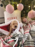 processed/6f37667d-1f87-4ab4-a6de-f3781313825a/listing/4f09fbac-c1fe-474d-b717-6138843da29f/4c402d69-acf2-4a5f-80d1-c449e3187bf8