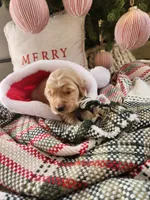 processed/6f37667d-1f87-4ab4-a6de-f3781313825a/listing/4f09fbac-c1fe-474d-b717-6138843da29f/6ffdeeb8-1005-4024-a50d-5d6b1ada3a02