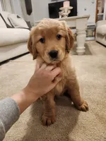 processed/6f37667d-1f87-4ab4-a6de-f3781313825a/listing/4f09fbac-c1fe-474d-b717-6138843da29f/ce554617-d7a0-4b34-98c2-e7567dd95571