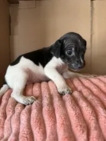 processed/6f37a902-2243-432b-b3ad-b0ab592c5597/listing/0ad5a662-3d1b-48ab-93e3-f82109799046/8166e890-14f6-4c1a-b1f0-daa1a8ae23d6