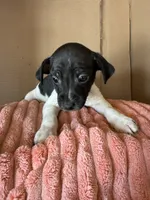 processed/6f37a902-2243-432b-b3ad-b0ab592c5597/listing/0ad5a662-3d1b-48ab-93e3-f82109799046/8a4d384e-3e27-4730-b6e6-0f0096b3fe96