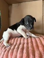 processed/6f37a902-2243-432b-b3ad-b0ab592c5597/listing/0ad5a662-3d1b-48ab-93e3-f82109799046/aeca27ed-ea22-4a26-9140-7461d97772dd