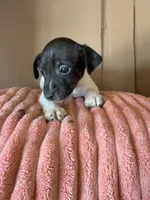 processed/6f37a902-2243-432b-b3ad-b0ab592c5597/listing/0ad5a662-3d1b-48ab-93e3-f82109799046/b3a21933-6edb-4267-9b38-747f6c56f7f1