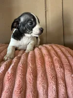 processed/6f37a902-2243-432b-b3ad-b0ab592c5597/listing/647c63df-3817-4ec2-b809-4105152140ac/254a7157-17bb-4540-9f8c-1a025e9b2fb8