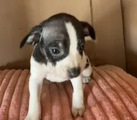 processed/6f37a902-2243-432b-b3ad-b0ab592c5597/listing/647c63df-3817-4ec2-b809-4105152140ac/5feec5e3-8b45-4c3b-940b-f5e865110db8