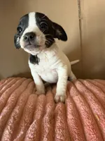 processed/6f37a902-2243-432b-b3ad-b0ab592c5597/listing/647c63df-3817-4ec2-b809-4105152140ac/b1225c4f-8595-4f98-b25a-d5cb12bc58ff