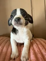 processed/6f37a902-2243-432b-b3ad-b0ab592c5597/listing/647c63df-3817-4ec2-b809-4105152140ac/bdafca57-bd38-4c99-a269-db65b035412f