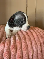 processed/6f37a902-2243-432b-b3ad-b0ab592c5597/listing/647c63df-3817-4ec2-b809-4105152140ac/e9192a2c-65dc-44c1-b118-5e3adc66f02e