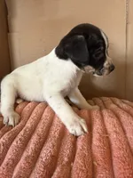 processed/6f37a902-2243-432b-b3ad-b0ab592c5597/listing/adab3436-c39c-4db2-abbc-37027fb82251/3b5fc136-a372-4171-ab93-69786ed1dc6d