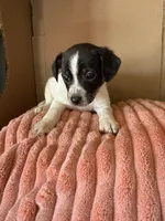 processed/6f37a902-2243-432b-b3ad-b0ab592c5597/listing/adab3436-c39c-4db2-abbc-37027fb82251/421a7f08-daa8-4b54-bb94-d4c1eddacf2c