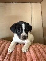 processed/6f37a902-2243-432b-b3ad-b0ab592c5597/listing/adab3436-c39c-4db2-abbc-37027fb82251/6acc759c-5b7c-43df-a61c-3cbb52d522d6