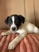 processed/6f37a902-2243-432b-b3ad-b0ab592c5597/listing/adab3436-c39c-4db2-abbc-37027fb82251/6f45bb71-9d12-4e03-8a85-14ff61aa2253