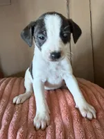 processed/6f37a902-2243-432b-b3ad-b0ab592c5597/listing/c7eb726c-ff1f-450b-b0db-5c457ecb4faf/6d6f008c-a0b1-4506-a276-a8d819eadd47