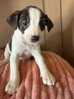 processed/6f37a902-2243-432b-b3ad-b0ab592c5597/listing/c7eb726c-ff1f-450b-b0db-5c457ecb4faf/9d52c72f-9e68-469a-9814-3b994df008ff