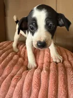 processed/6f37a902-2243-432b-b3ad-b0ab592c5597/listing/de888517-5407-4ae4-ae57-cf0fb3f5b9a9/d0d1f6d8-9df8-4958-92d4-b3b07f799903