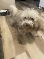 processed/6f381343-4fff-47cd-87aa-cfdc69074e50/listing/07c93c71-c02a-4497-b777-ca833a4c1c7b/52b0ede2-5d14-4508-a59d-19aff8987f15