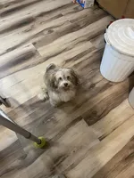 processed/6f381343-4fff-47cd-87aa-cfdc69074e50/listing/07c93c71-c02a-4497-b777-ca833a4c1c7b/80c83349-3972-4b33-9747-f2472725f434