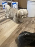 processed/6f381343-4fff-47cd-87aa-cfdc69074e50/listing/07c93c71-c02a-4497-b777-ca833a4c1c7b/90723b17-512e-45a5-a4c7-f79e73ba9e06