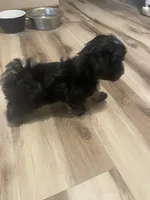 processed/6f381343-4fff-47cd-87aa-cfdc69074e50/listing/b522d584-ab54-400c-8762-bcdc5eb192c9/04381526-a8f2-40f6-bfa2-d0d90b095aca