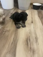 processed/6f381343-4fff-47cd-87aa-cfdc69074e50/listing/b522d584-ab54-400c-8762-bcdc5eb192c9/a89e34f9-0812-4780-be99-151fd6c0c8e8