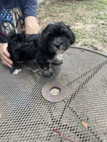 processed/6f381343-4fff-47cd-87aa-cfdc69074e50/listing/b522d584-ab54-400c-8762-bcdc5eb192c9/a94675f3-4f84-4e3b-ad37-7dfd12bfc14a