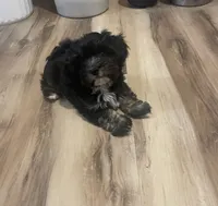 processed/6f381343-4fff-47cd-87aa-cfdc69074e50/listing/b522d584-ab54-400c-8762-bcdc5eb192c9/b6b620cb-e192-4da5-9748-9afa27f416c6