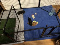 processed/6f3856cd-3b79-4984-a6dd-78a8ac906fed/facility/ff1d72a6-1f34-43a0-b44c-220566ee192c