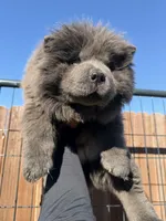 processed/6f4af044-c262-47e5-955c-4751f31985c1/listing/da2cd9a3-925e-47e4-ba7e-e653fce25a5f/e75af892-ffd8-4272-b65a-028ed8364ffa