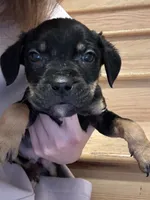 processed/6f4ca5f2-83ba-4d73-b47e-331c3269152d/listing/5b5d535a-d46e-4d4e-a775-23de444d109e/0799961f-7cf9-4caf-b3b9-060dfad43edb