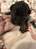 processed/6f4ca5f2-83ba-4d73-b47e-331c3269152d/listing/5b5d535a-d46e-4d4e-a775-23de444d109e/6368e09d-926b-4ded-8188-05567ff1bf4f