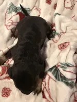 processed/6f4ca5f2-83ba-4d73-b47e-331c3269152d/listing/5b5d535a-d46e-4d4e-a775-23de444d109e/b18e8958-2e28-4d89-aa2a-577fb2acd355