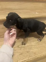 processed/6f4ca5f2-83ba-4d73-b47e-331c3269152d/listing/5b5d535a-d46e-4d4e-a775-23de444d109e/b193dfba-819f-48c2-9336-3c4196c8cfd6