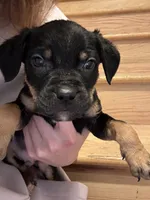 processed/6f4ca5f2-83ba-4d73-b47e-331c3269152d/listing/5b5d535a-d46e-4d4e-a775-23de444d109e/ce8b838f-12f2-4b3d-aa86-70a63eadd1a4