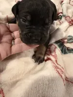 processed/6f4ca5f2-83ba-4d73-b47e-331c3269152d/listing/5b5d535a-d46e-4d4e-a775-23de444d109e/ff5d190a-82f5-4684-a54d-038ee238481a