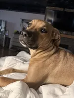 processed/6f4ca5f2-83ba-4d73-b47e-331c3269152d/listing/9f46eeb0-c913-4bdb-b39c-3e91e94dfafa/7427cf27-5599-4855-91e0-dc22e2f44a90