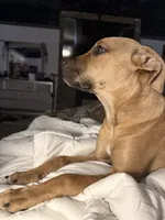 processed/6f4ca5f2-83ba-4d73-b47e-331c3269152d/listing/9f46eeb0-c913-4bdb-b39c-3e91e94dfafa/f2176bbe-f679-4325-8883-a7e80f5e0bfb