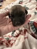 processed/6f4ca5f2-83ba-4d73-b47e-331c3269152d/listing/a529c7f6-e1d0-4bbf-b092-17dc870308ca/53d950ad-25bc-4ea9-9093-21bac199604b