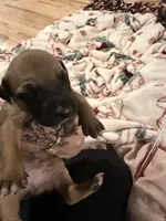 processed/6f4ca5f2-83ba-4d73-b47e-331c3269152d/listing/c85b2ea5-4ba8-4dca-8990-cf67b27a4c4f/08730904-f034-4514-add5-4cb05fc0537c