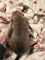 processed/6f4ca5f2-83ba-4d73-b47e-331c3269152d/listing/c85b2ea5-4ba8-4dca-8990-cf67b27a4c4f/5362a92c-ae68-4121-b084-722de0ddd141